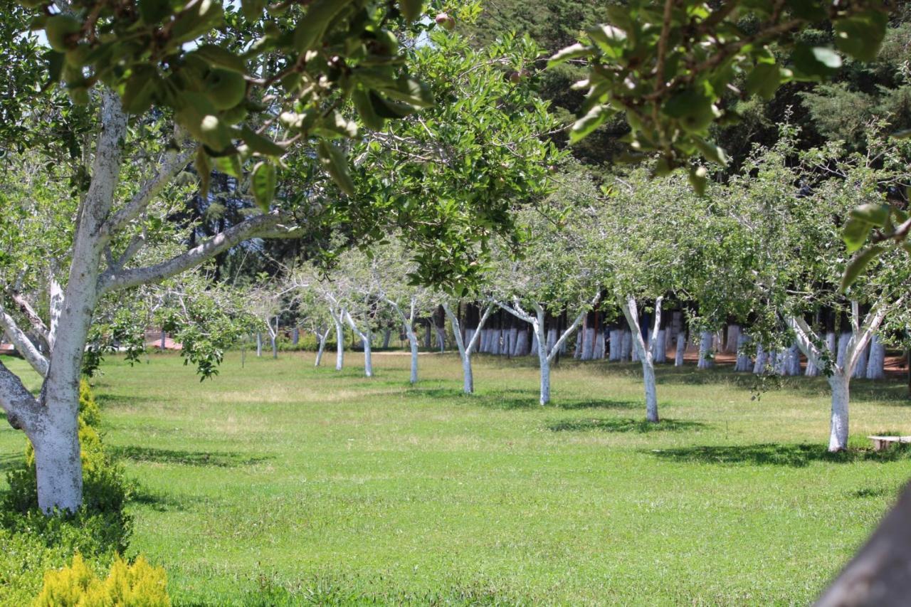 Cabanas Rancho El Mayab Zacatlán Kültér fotó