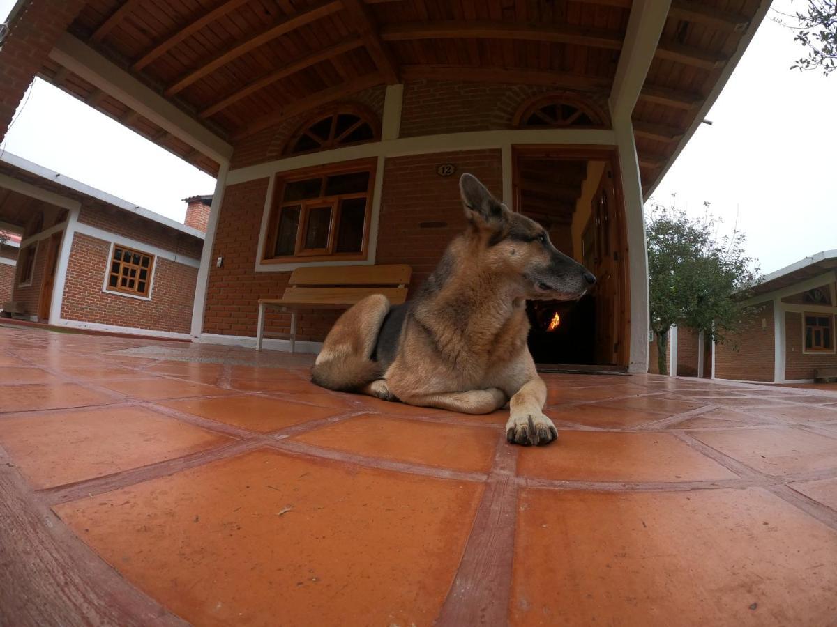 Cabanas Rancho El Mayab Zacatlán Kültér fotó
