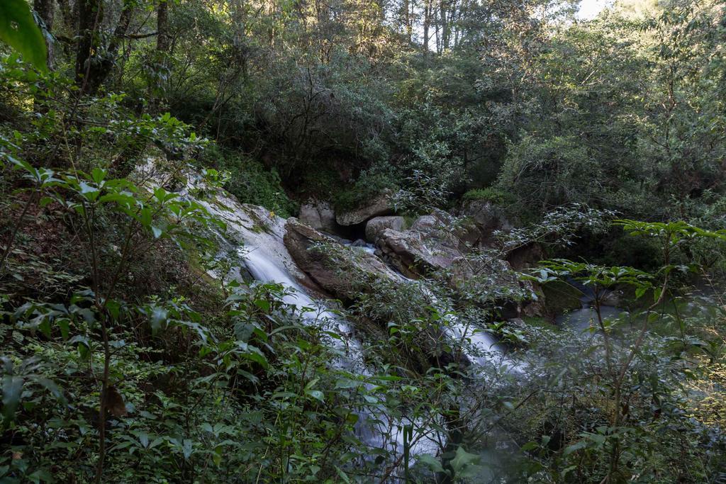 Cabanas Rancho El Mayab Zacatlán Kültér fotó