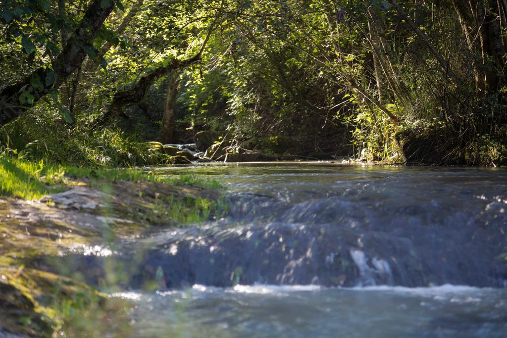 Cabanas Rancho El Mayab Zacatlán Kültér fotó